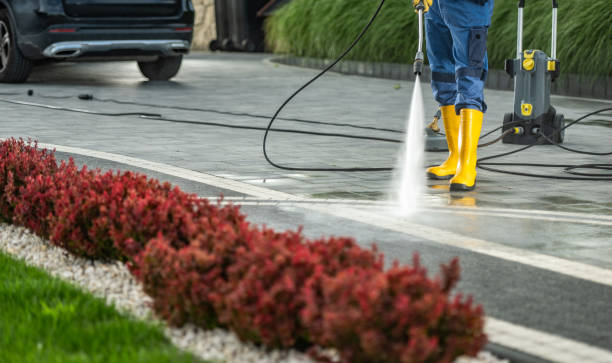 Best Driveway Cleaning and Restoration in Moose Lake, MN